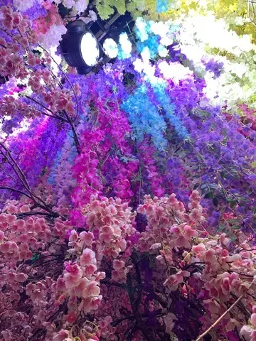 芸術鑑賞Dayで癒されるの画像_4