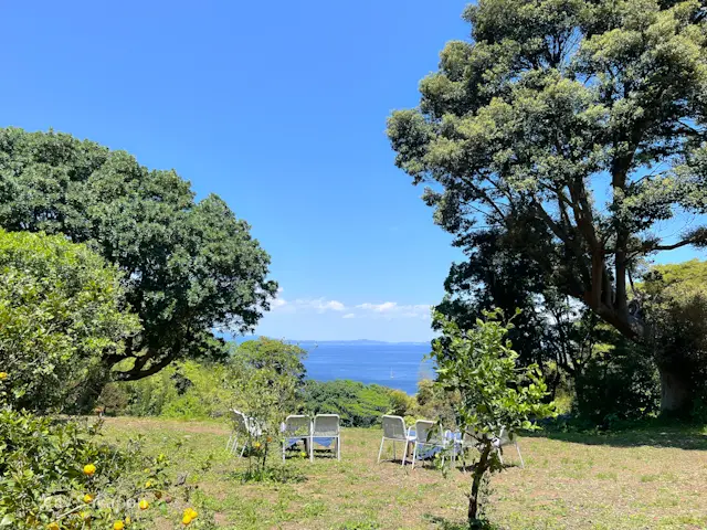 【さかぽんの冒険】海からの風香るレモン狩の画像_8