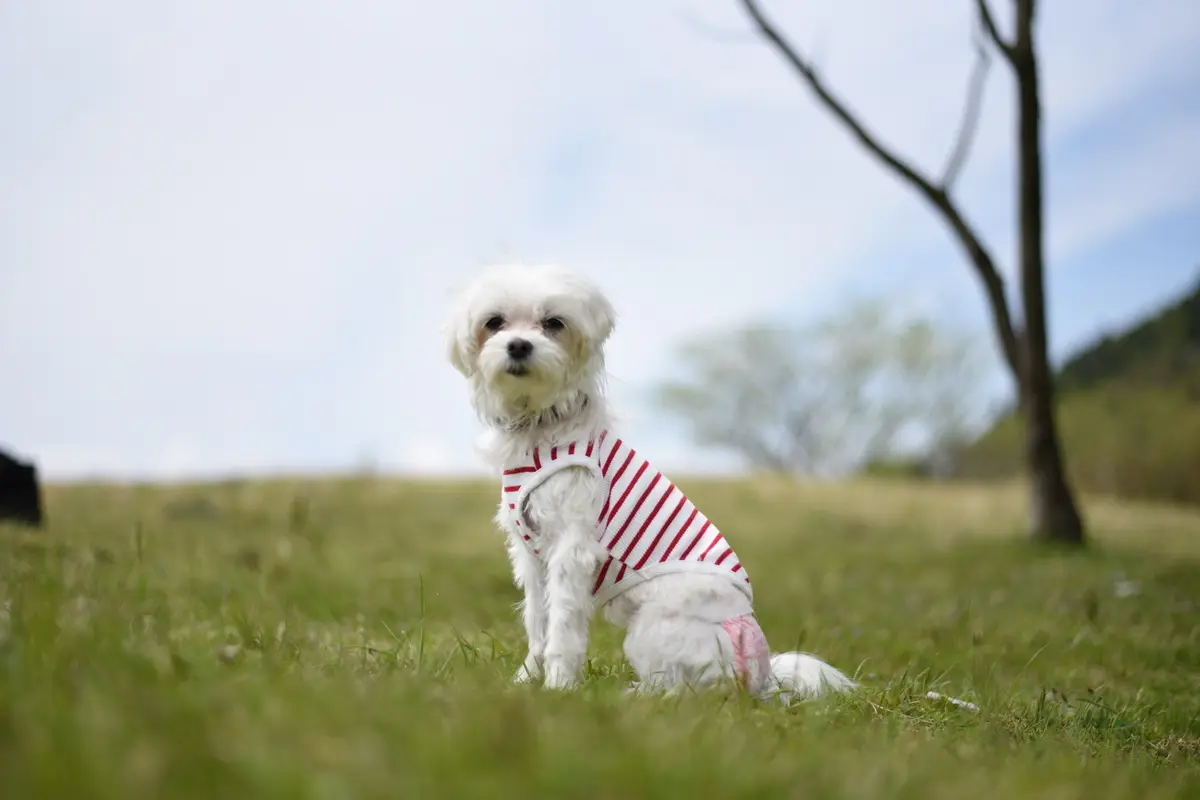 御殿場とらや工房へ♪の画像_6