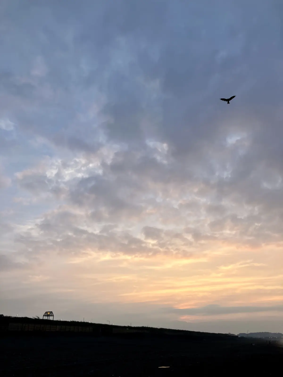 朝活スタートしました♪の画像_13