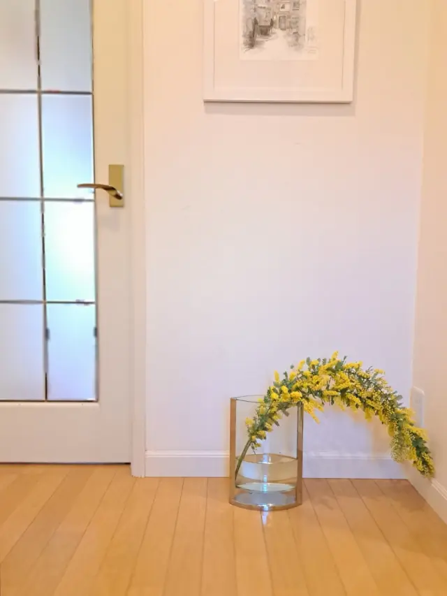 今年のミモザと30年前の想い出の画像_3