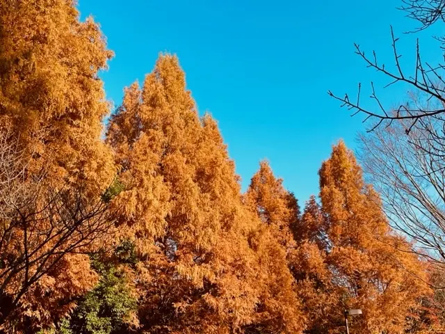 横浜動物園ズーラシアの画像_5