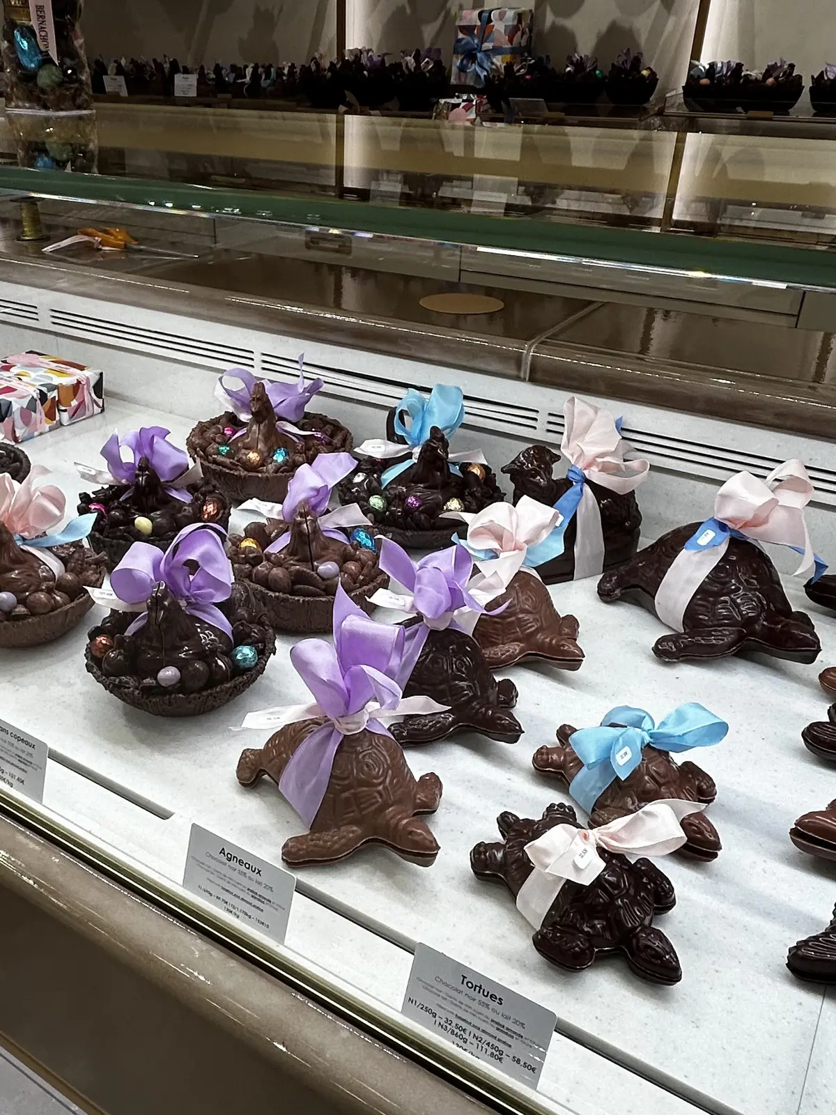 ベルナシオン　パレドール　タブレット