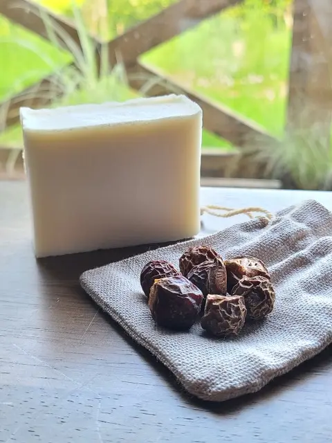 森のカフェへの画像_6