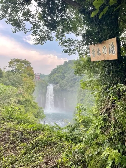 娘たちと自然豊かな場所へおでかけ♪の画像_3