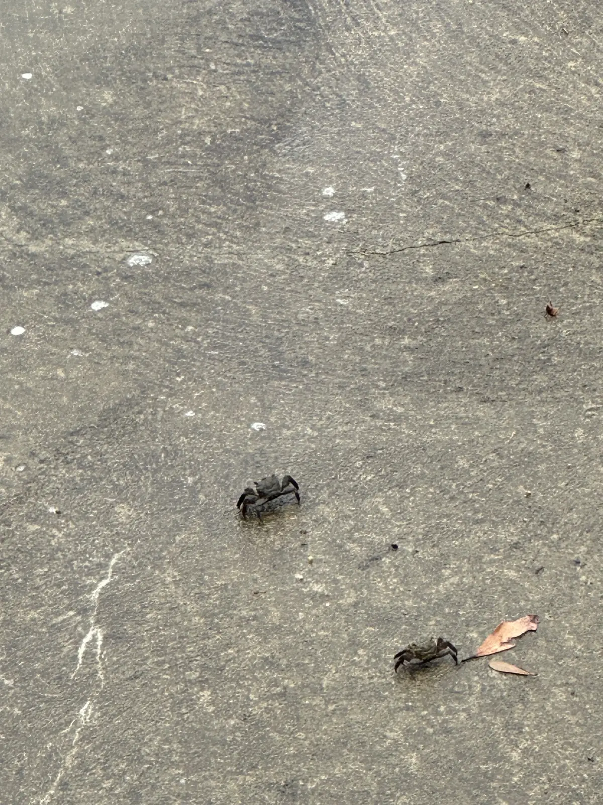 伊勢神宮参拝とお気に入りの宿の画像_15