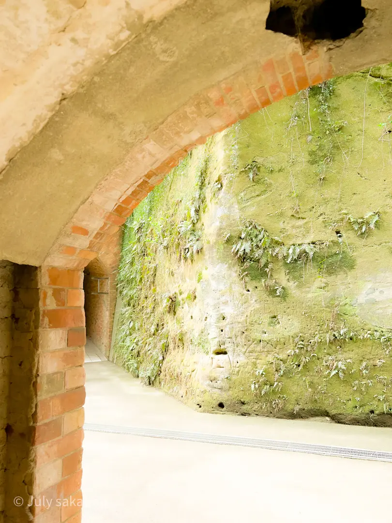 【さかぽんの冒険】前編☆無人島で奇跡のラの画像_23