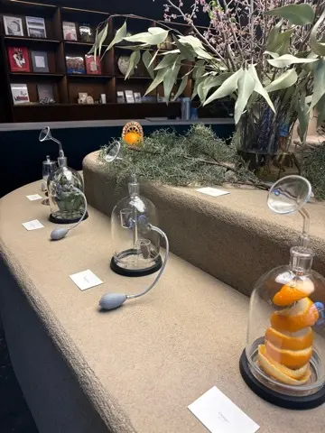 チョコレートだけじゃない！奥深いカカオのの画像_19