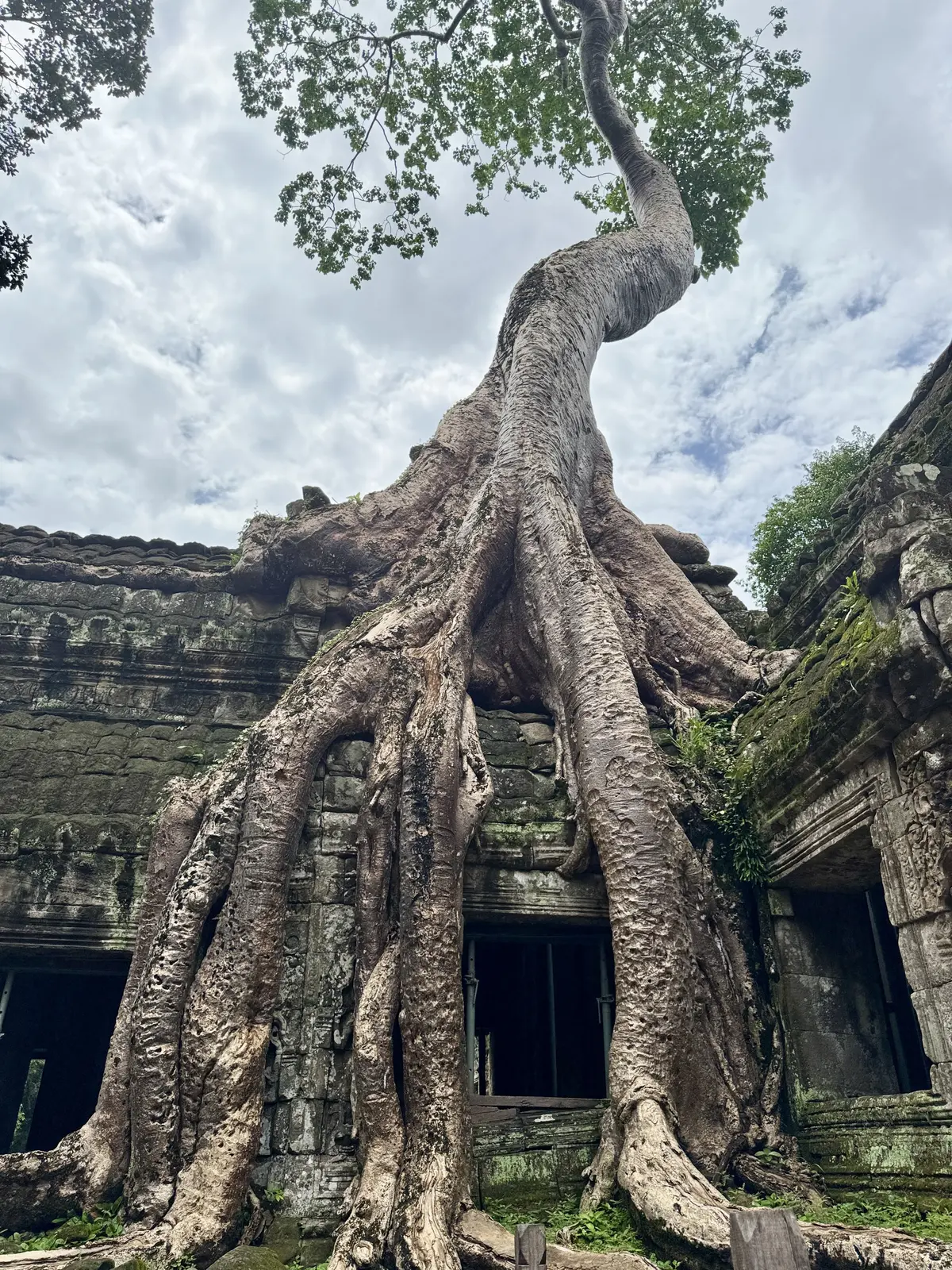 夏旅 to CAMBODIA🇰🇭後編（必の画像_22