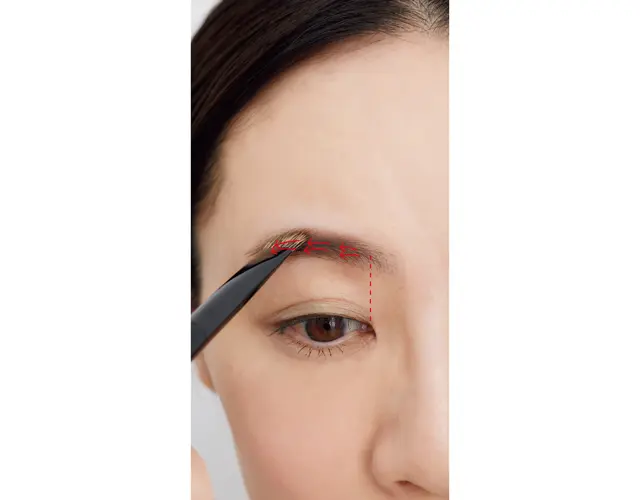 眉上に向かってパウダーをのせ、太さを出す