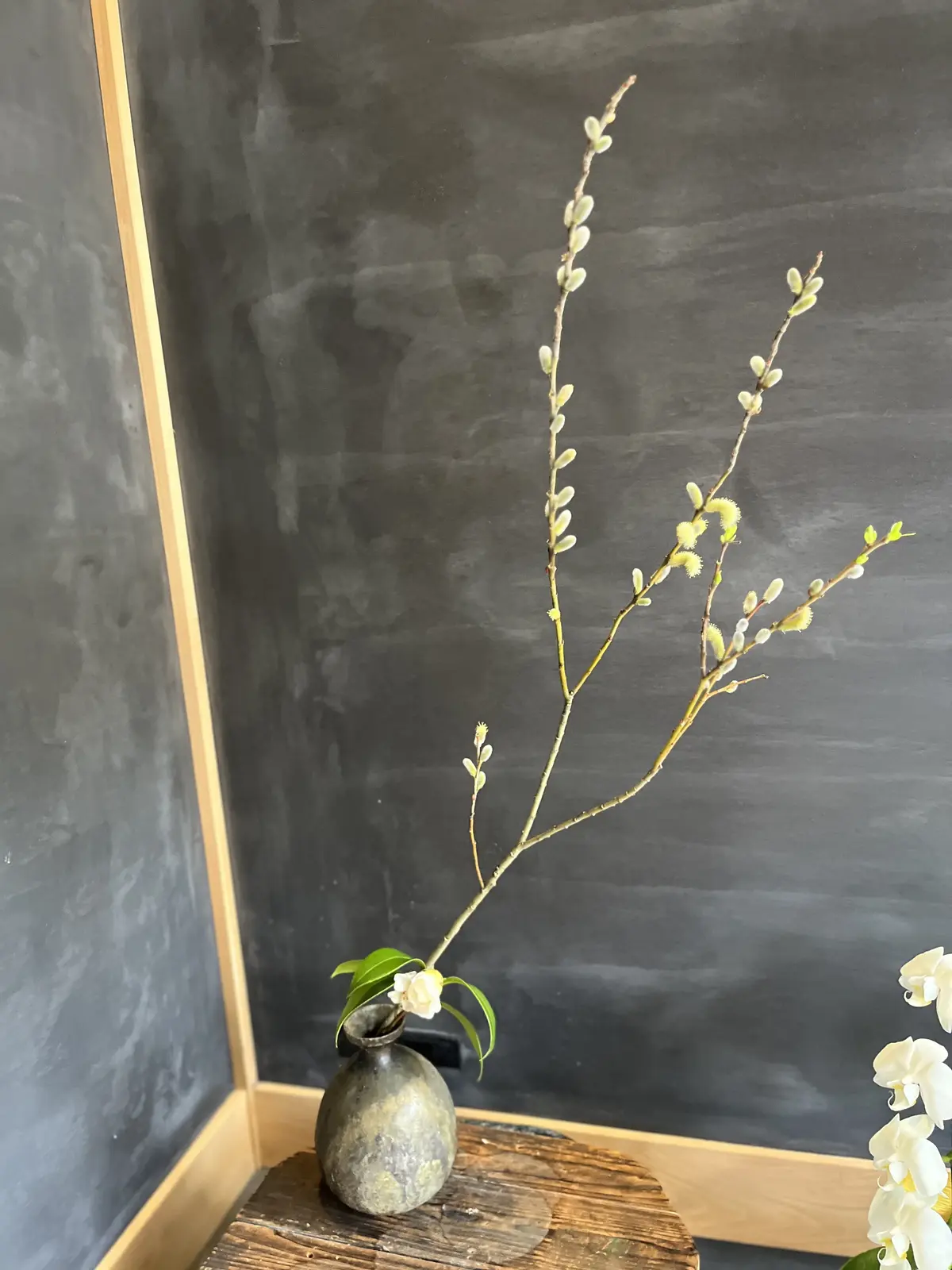 サクラ色ニットで金沢。の画像_6