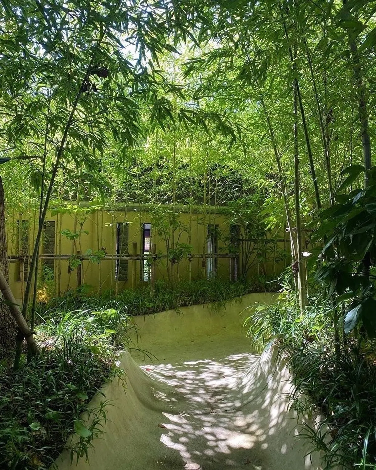 日本屈指のパワースポットへお参り♪の画像_1