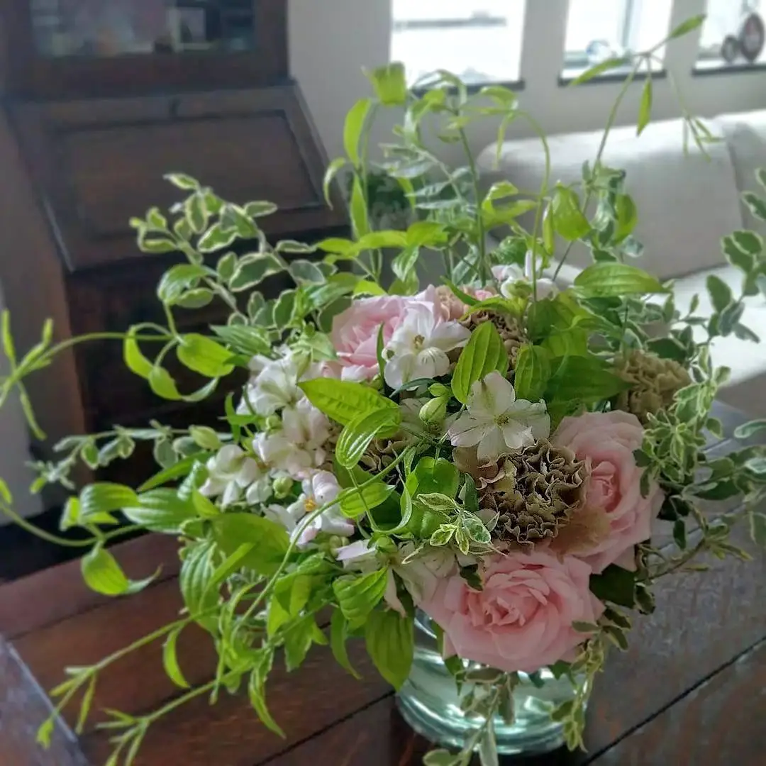 ようやくお花日和になりましたの画像_3