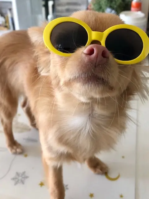 私の最近のお気に入りアイテム♡の画像_1