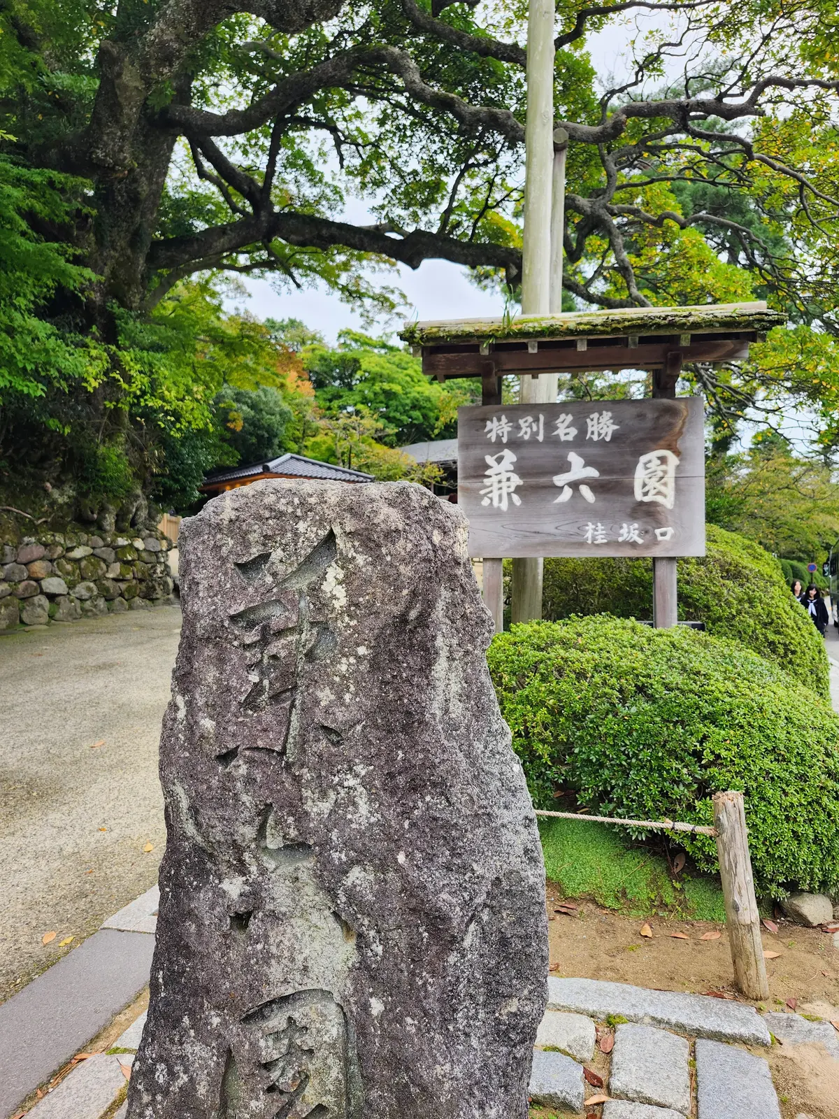 女子旅、金沢、金沢旅行、秋の金沢、40代ファッション、旅コーデ、加賀料理、21世紀美術館、御朱印　神社、金沢カフェ、茶屋街