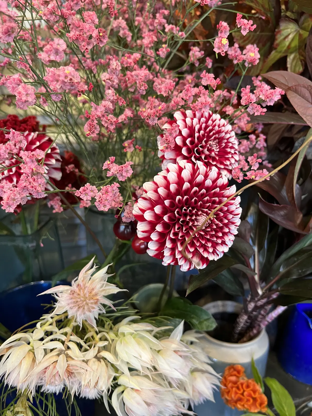 〝個性的〟希望！の画像_2