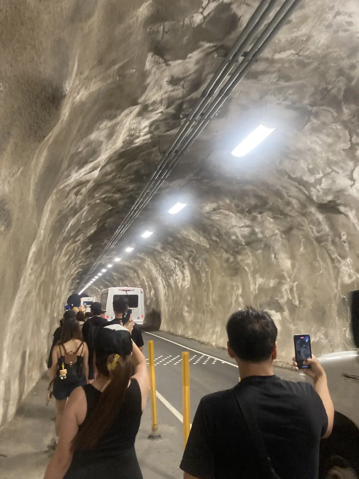 癒しの国ハワイに行ってきました。🌴②の画像_4