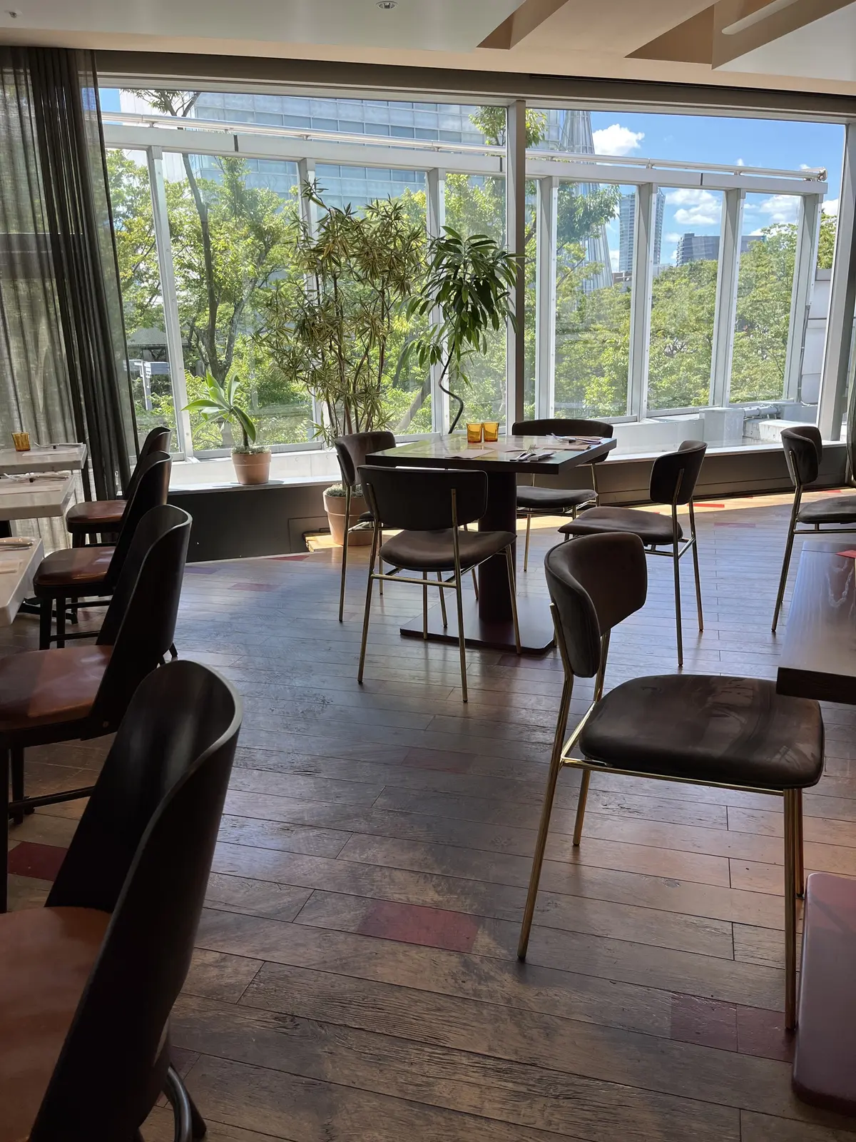 Jマダム同期と表参道ヒルズで初対面♪の画像_2