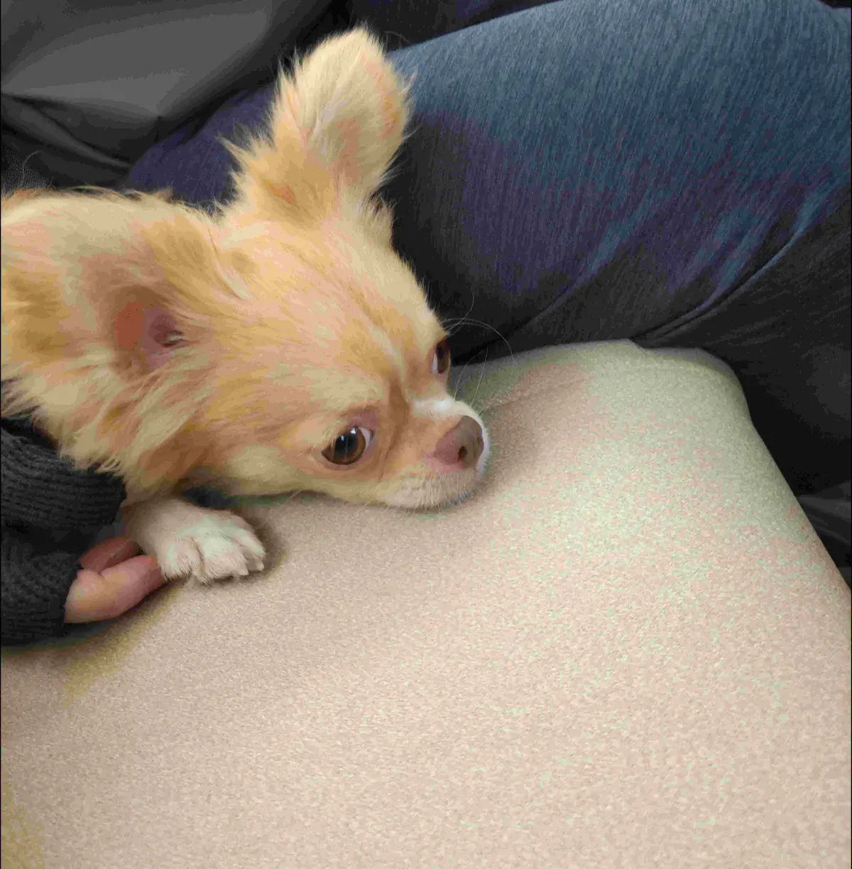 『萩』の画像_1