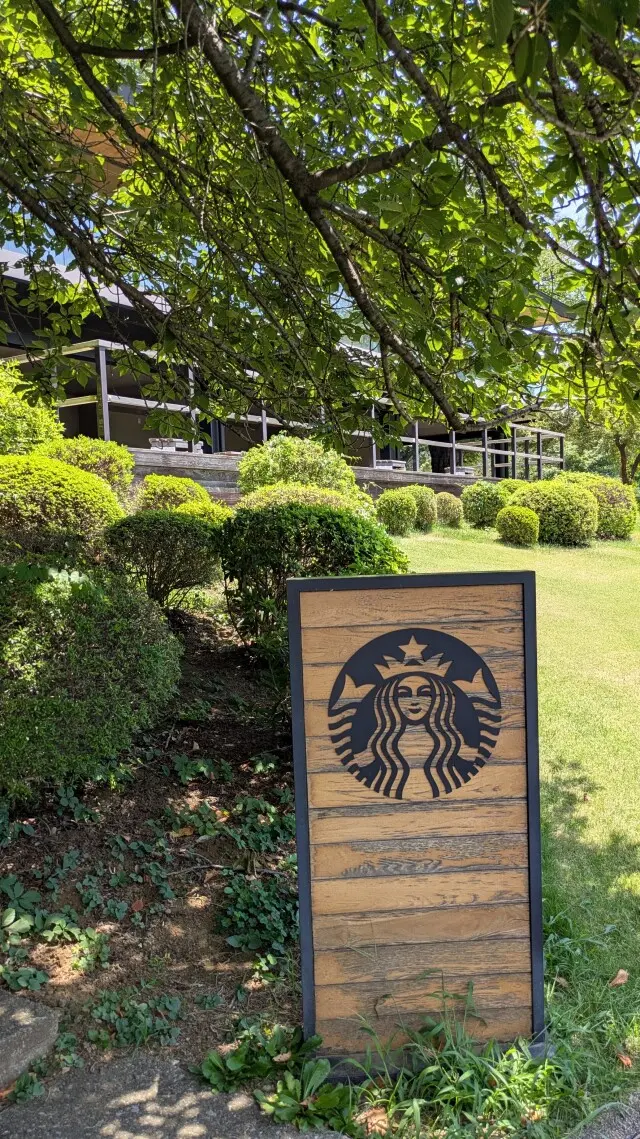 新宿御苑　千駄ヶ谷門　木漏れ日　芝生広場　プラタナス並木　ユリノキ　ひと休み　スターバックス