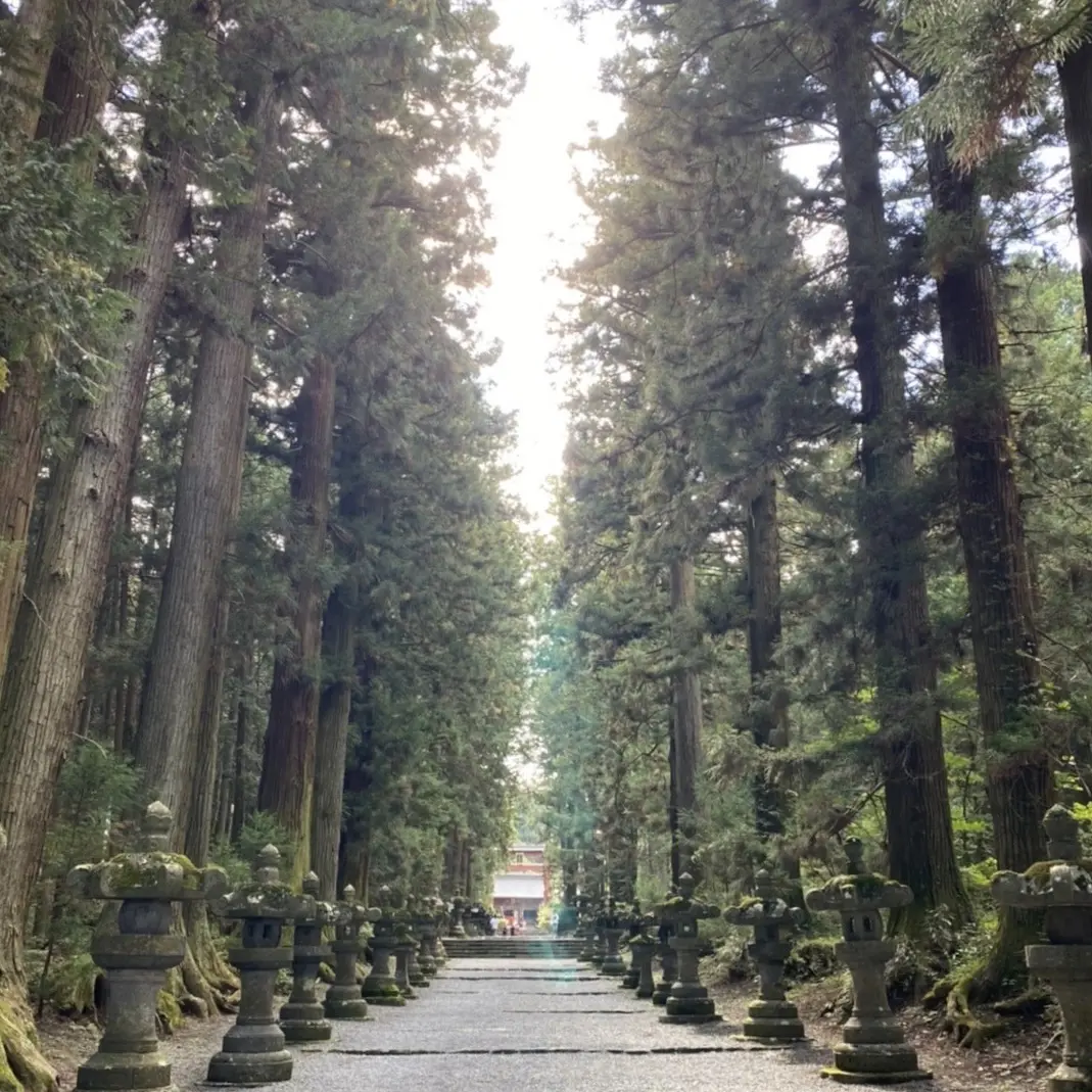 富士山の雄大な景色を眺めながらグランピンの画像_4