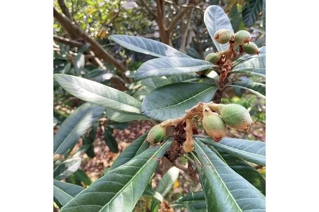 ロクワット西伊豆