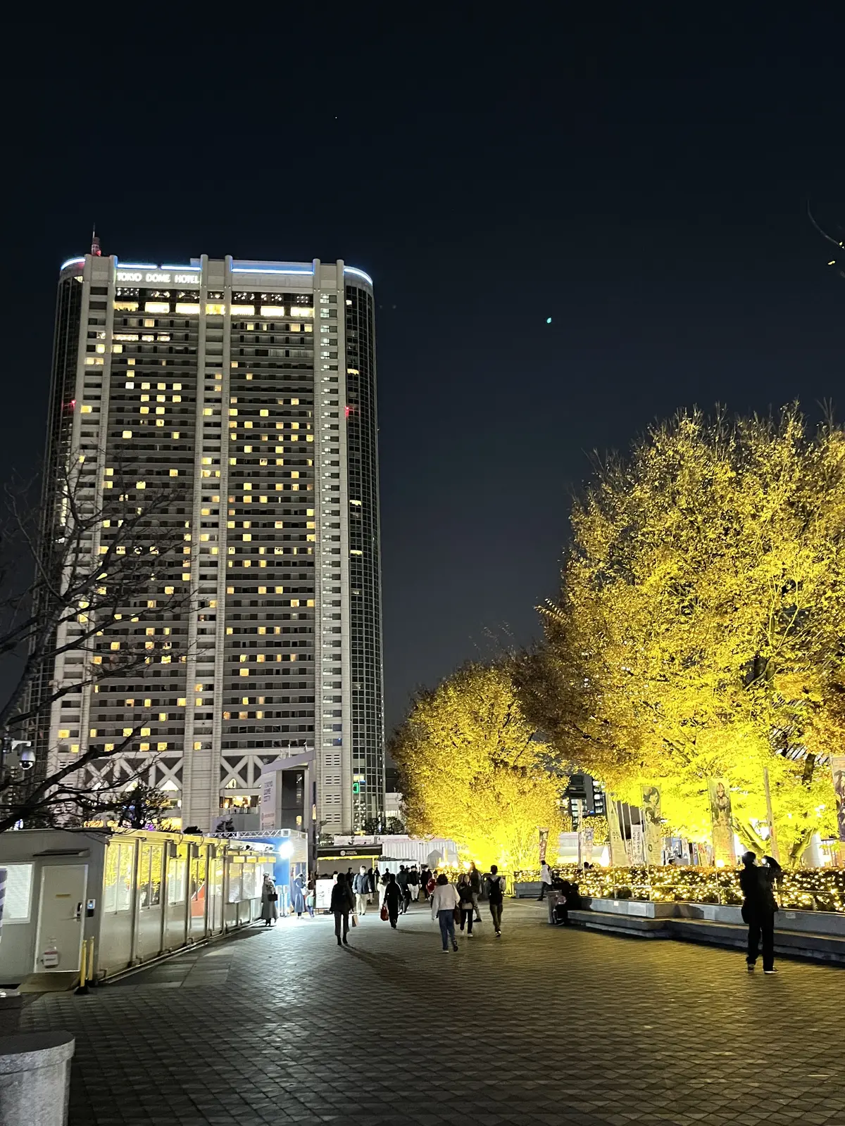 クリスマスまでのいろいろ♫の画像_8