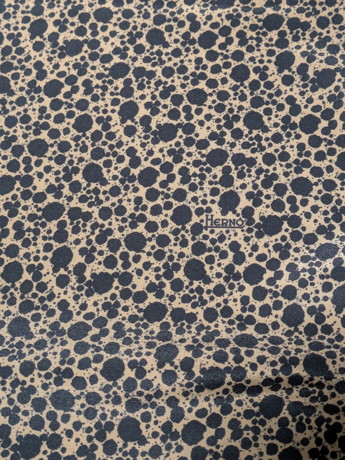 集英社éclat【ソワレ・ドゥ・エクラ】の画像_5