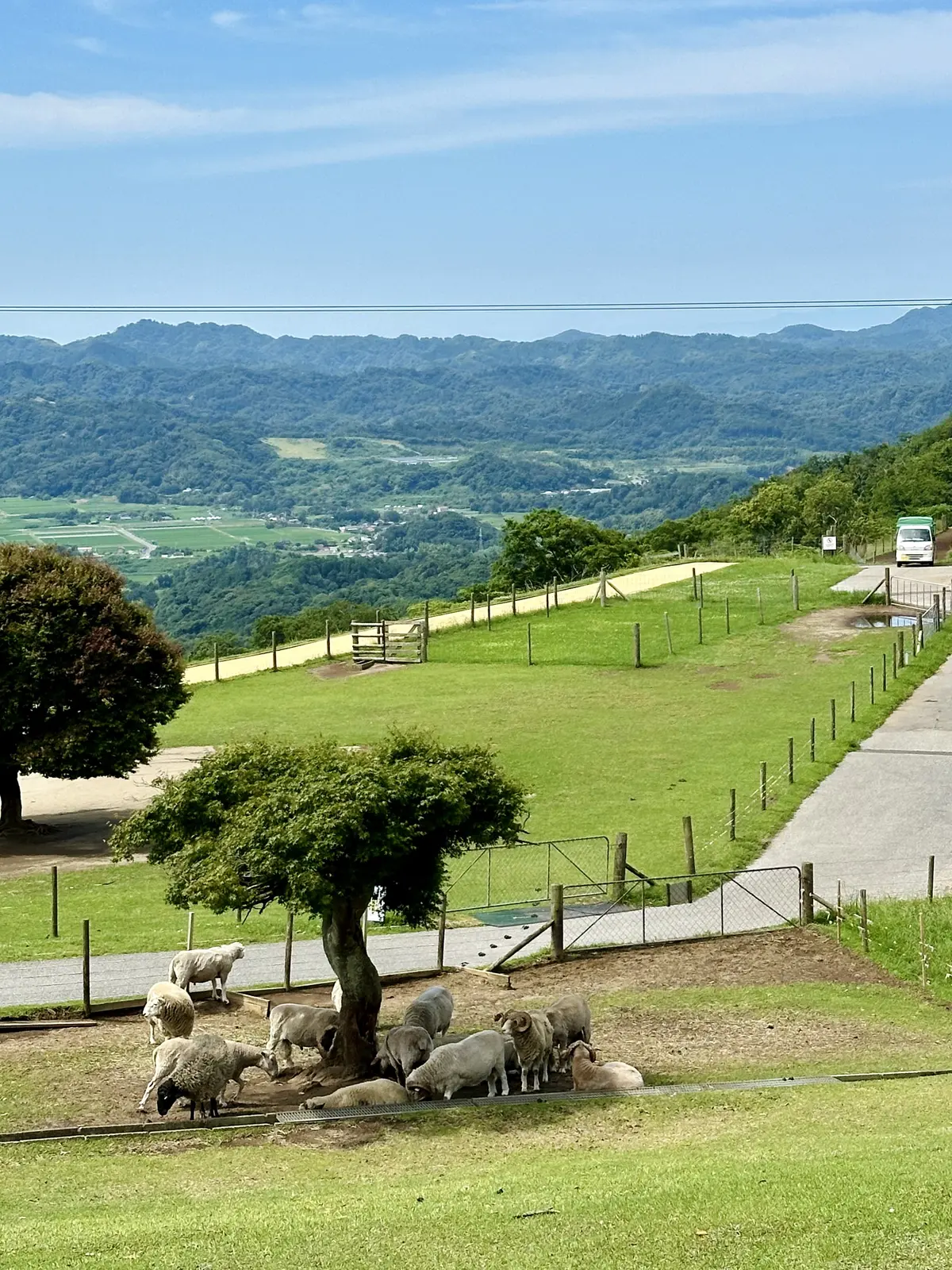 GUデニムで初夏の景色を楽しむお散歩へ♪の画像_8