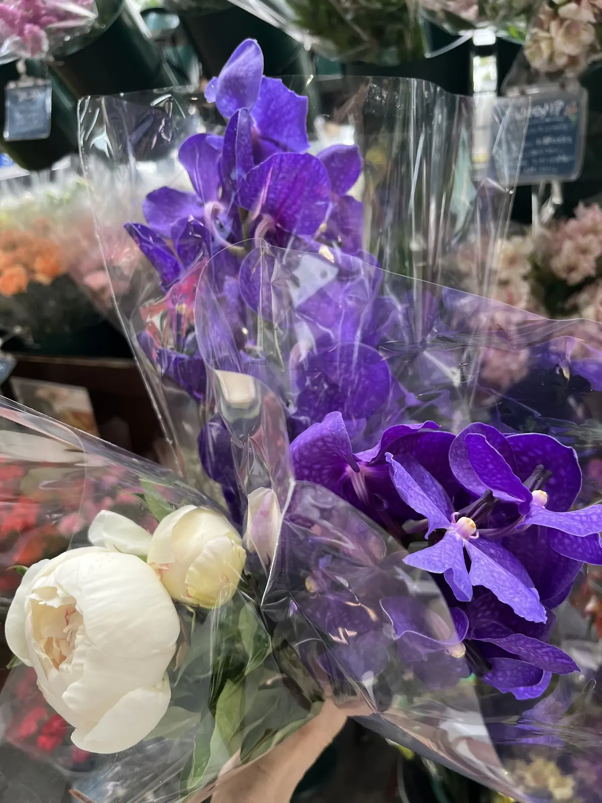 1人時間を楽しむ。銀座＆紀尾井町編その①の画像_18