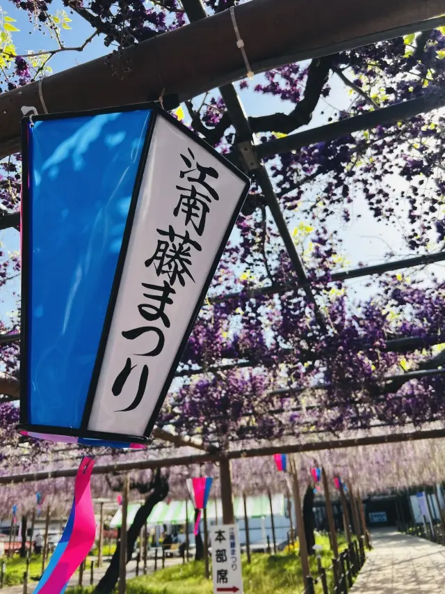 花言葉「あなたを歓迎します」の画像_1