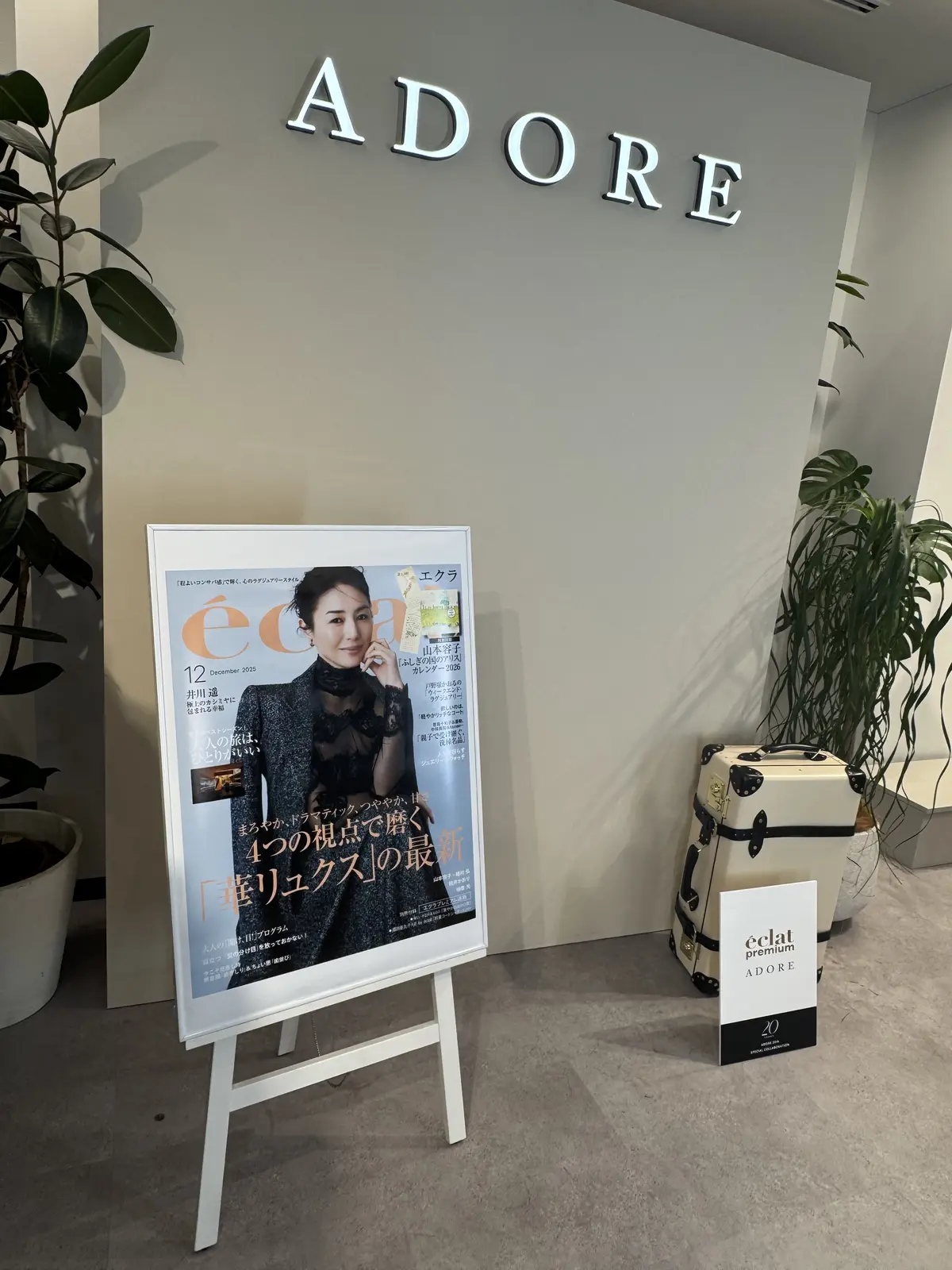  『ADORE×éclat 』別注コラボの画像_3