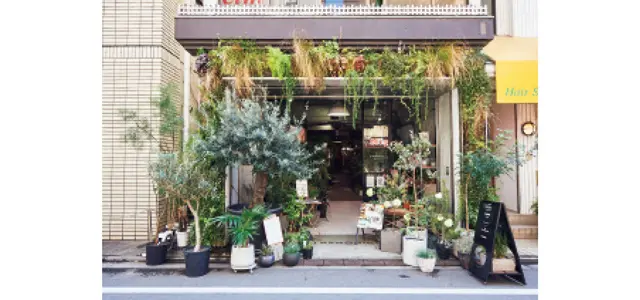 TRANSHIPインフォメーション