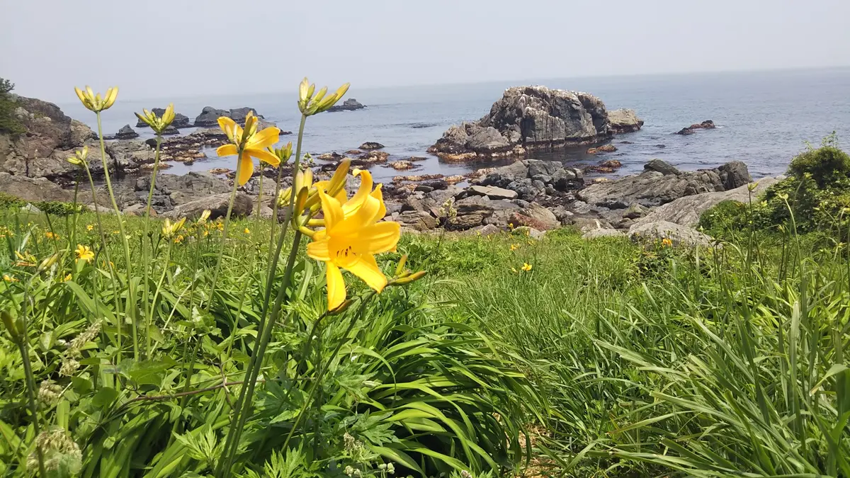 種差海岸　険しい岩礁