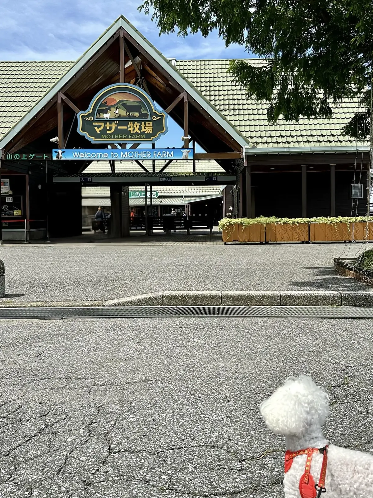 GUデニムで初夏の景色を楽しむお散歩へ♪の画像_5