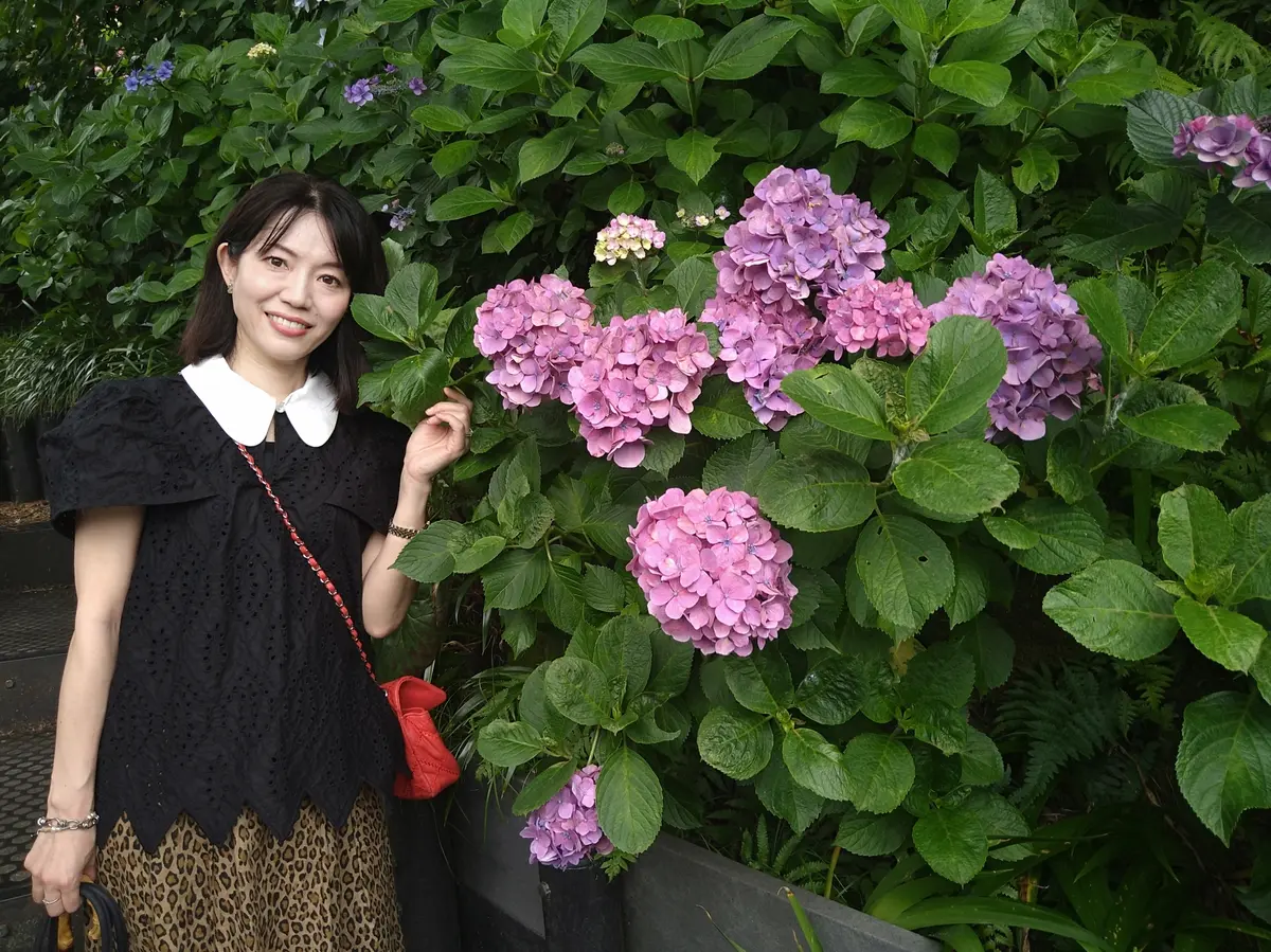 〈鎌倉〉紫陽花とランチとクリームソーダとの画像_11