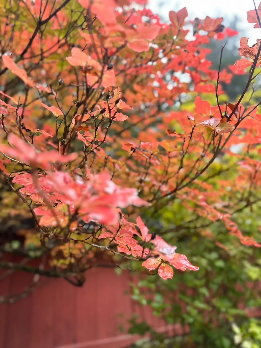 welcome とちぎへ② 日光市お泊まの画像_5