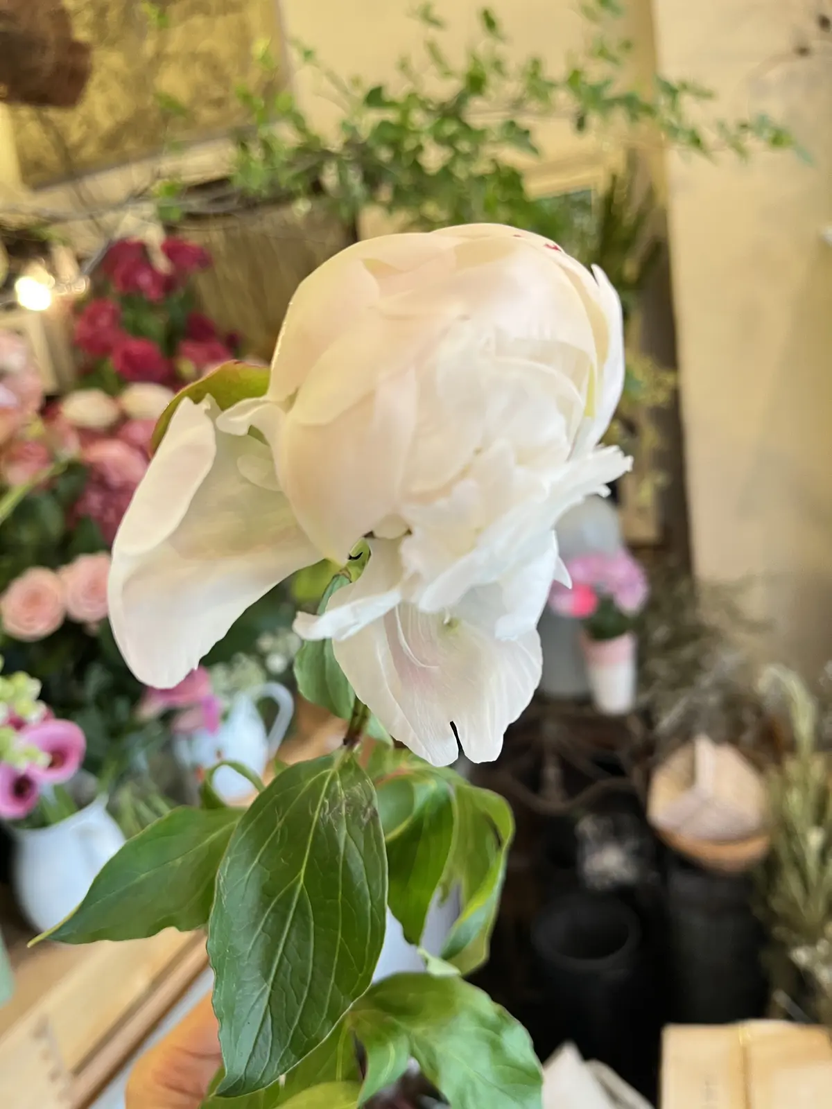 特別なブーケの画像_8