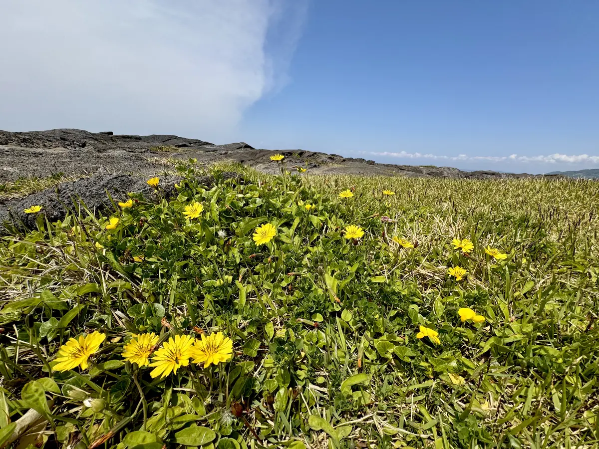 GWは、葉山・佐島☆海辺の人気レストランの画像_14