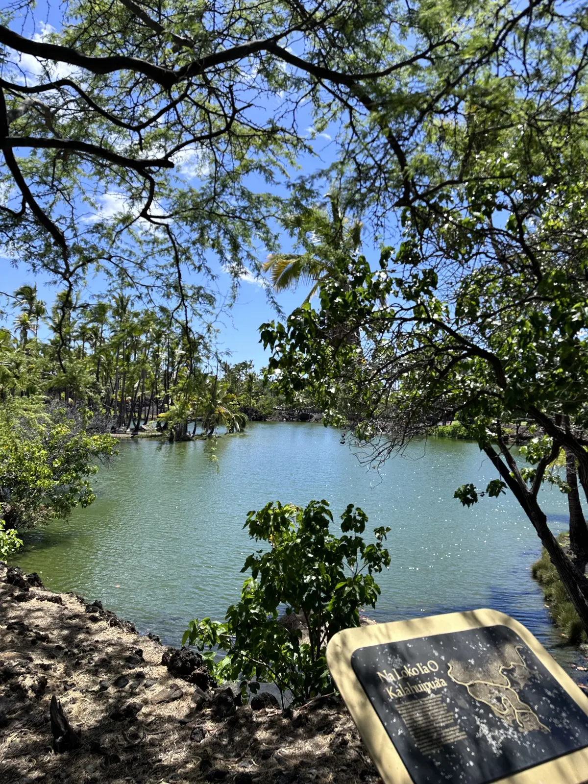 ハワイ島　パワースポット巡り編の画像_3