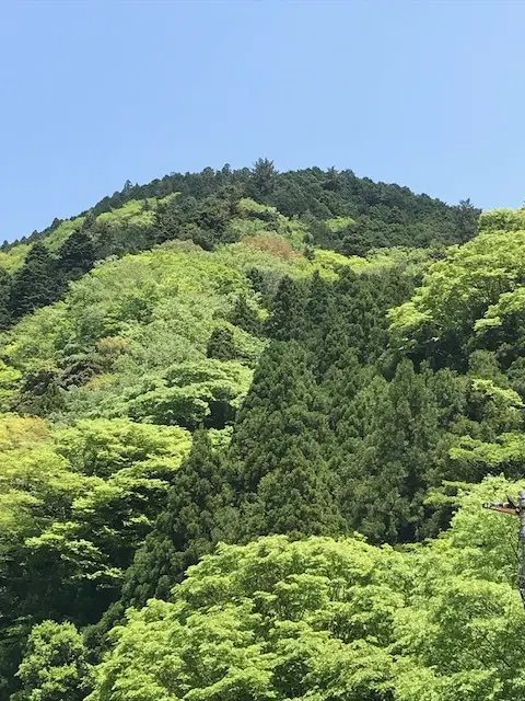 新緑の大山、茶湯寺参り。の画像_1