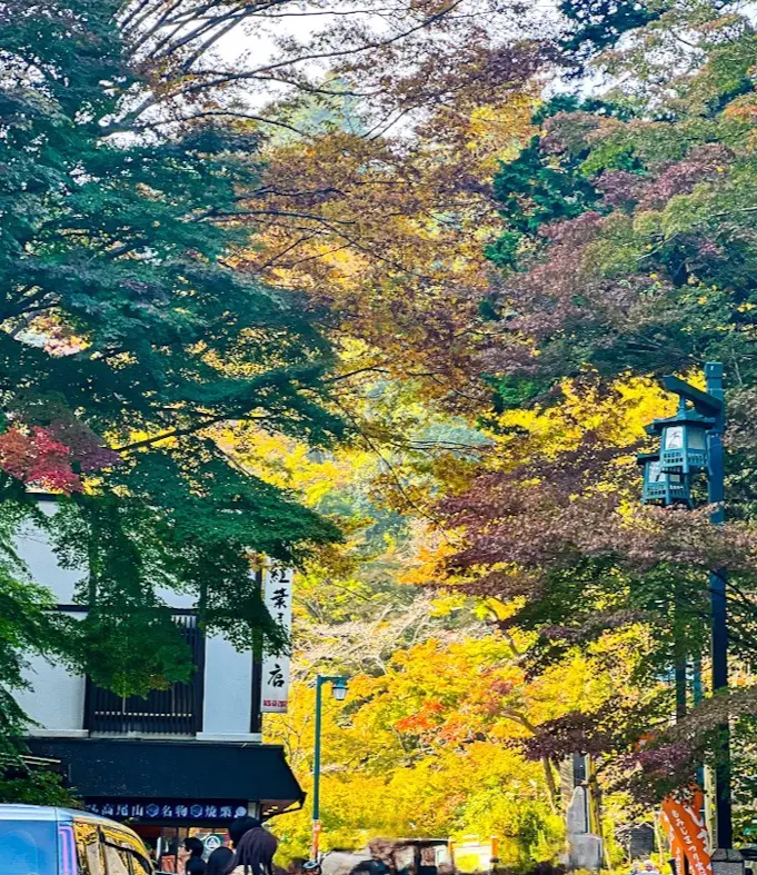 秋色ニットで紅葉拾い🍁in 高尾山の画像_2