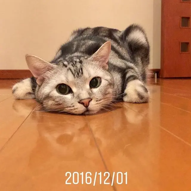 今年、去年、一昨年の画像_3