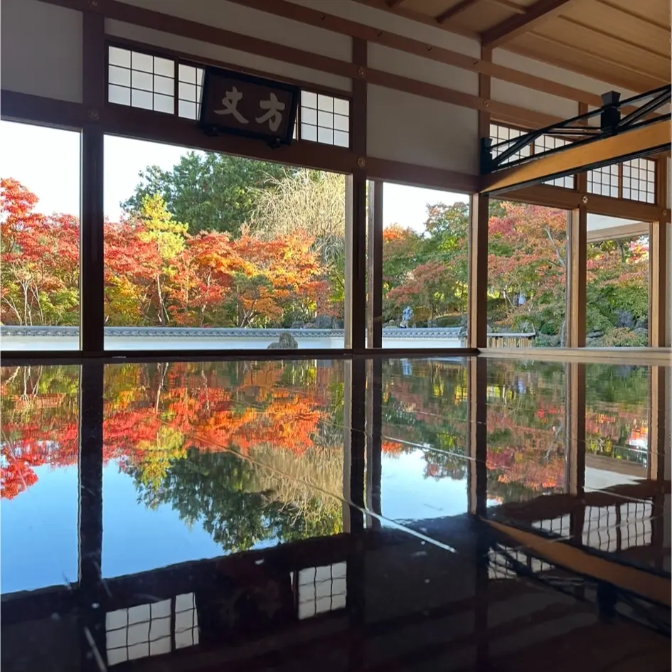 紅葉狩り　紅葉巡り　