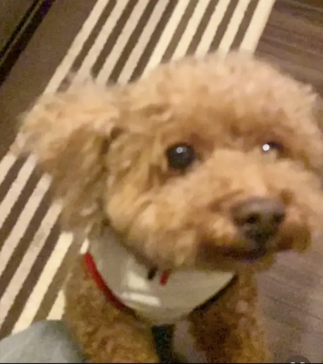 私の雨の日の過ごし方✨普段できないことをの画像_5