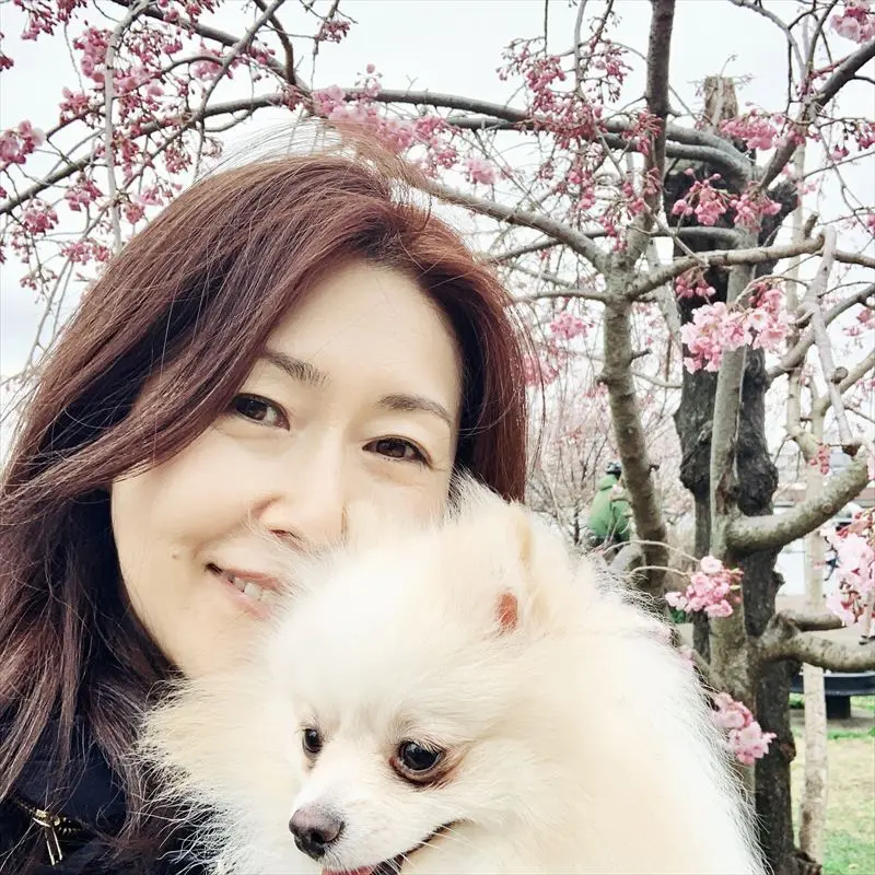 お花見さんぽ♪の画像_1