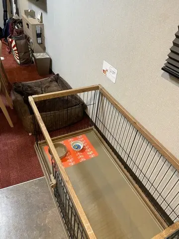 ワンコとべったり一緒に過ごしたGWの画像_3