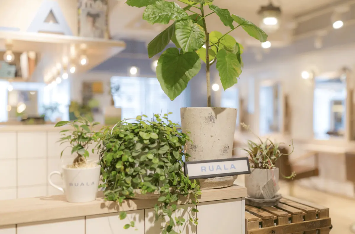 丸ごと一日美容Dayの画像_1