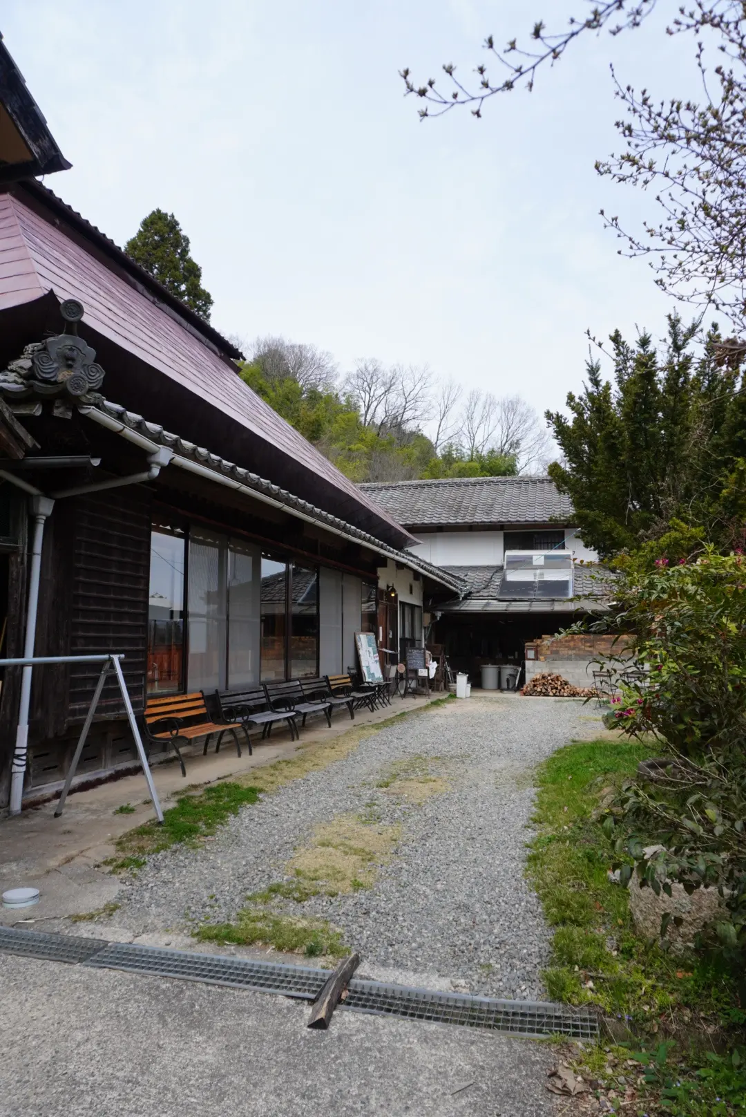 花三昧♡花夢の里☆おへそ☆ワンコとお花見の画像_12