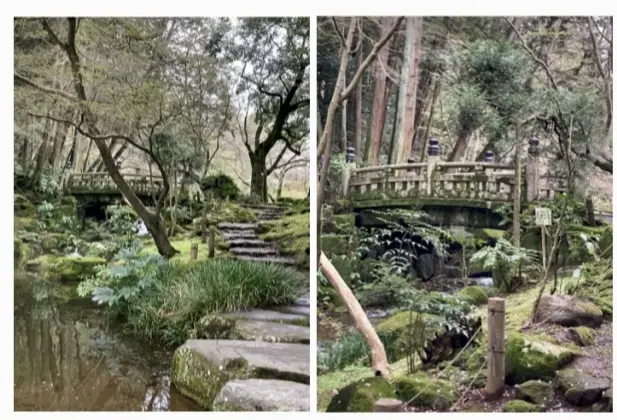 成田山新勝寺にて散歩、散策。